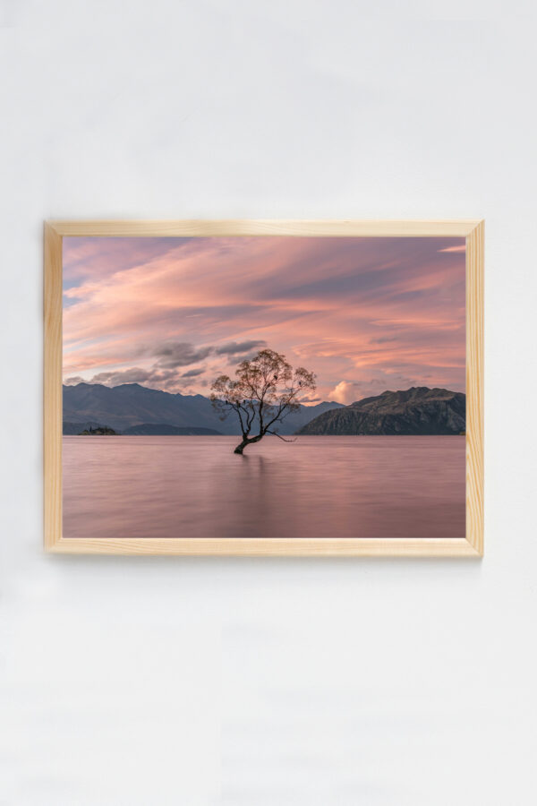 That Wanaka Tree