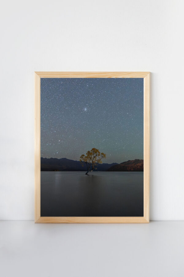 That Wanaka Tree II