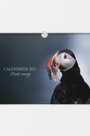 Calendrier 2027 avec des photos de nature islandaise