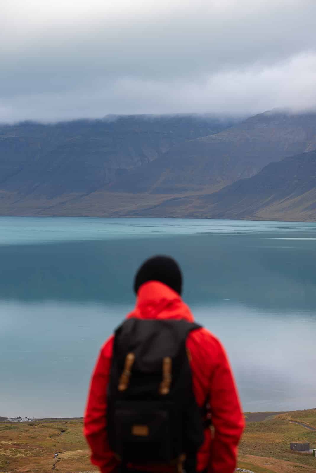 Homme regardant la vue depuis la cascade Dynjandi en Islande