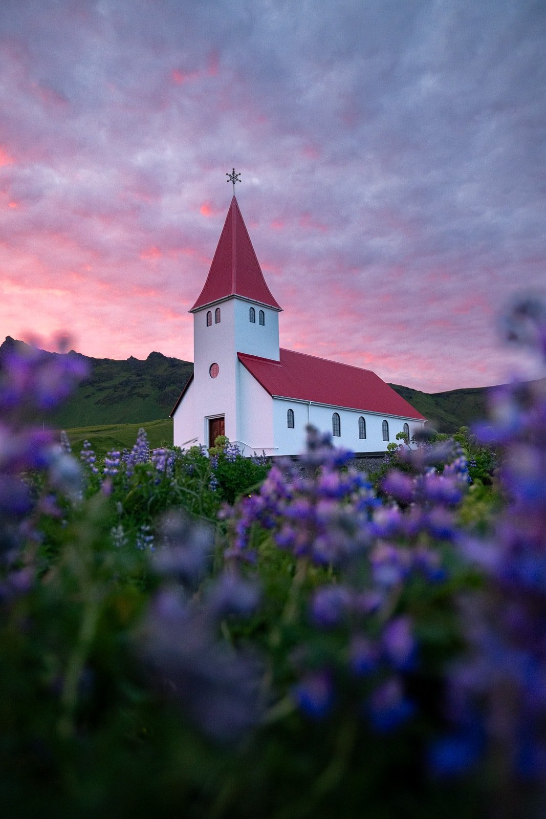 L'église de Vik en islande au coucher du soleil en été, avec des fleurs violettes appelées lupins