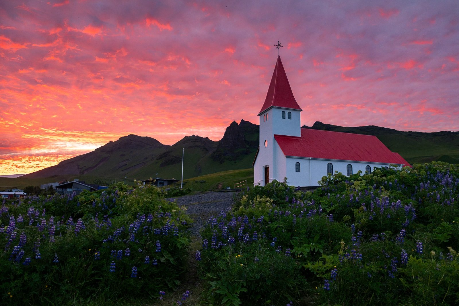 Vue en contre plongée de l'église de Vik dans le sud de l'Islande lors du coucher de soleil en plein été, lorsque les lupins sont en fleur
