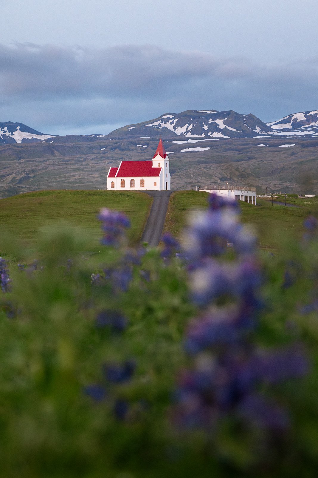 L'église d'Ingjaldshóll dans la péninsule de Snaefellsnes est entourée de lupins en été