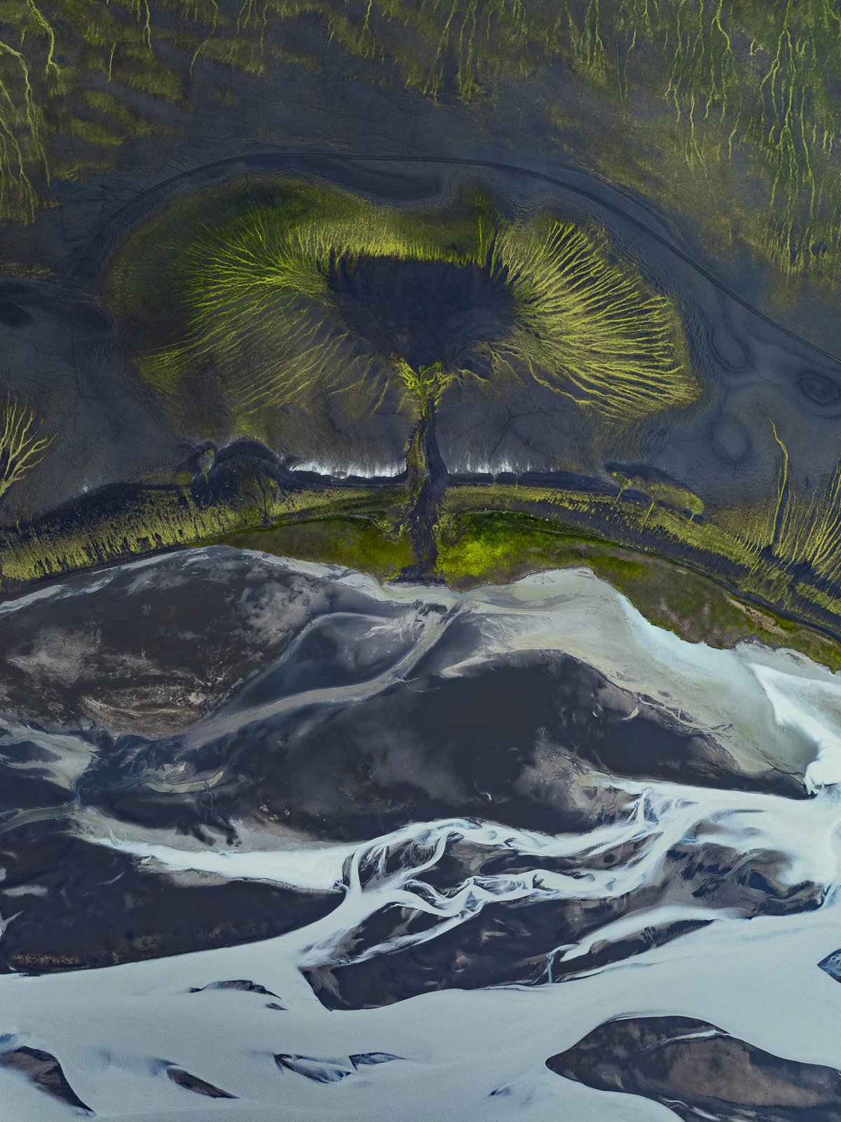 Vue aérienne des Hautes-Terres en Islande de mousse verte qui semble former un arbre