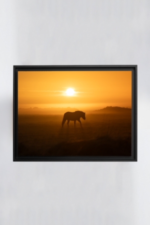 Tirage d'art encadré en noir de chevaux au coucher du soleil en Islande