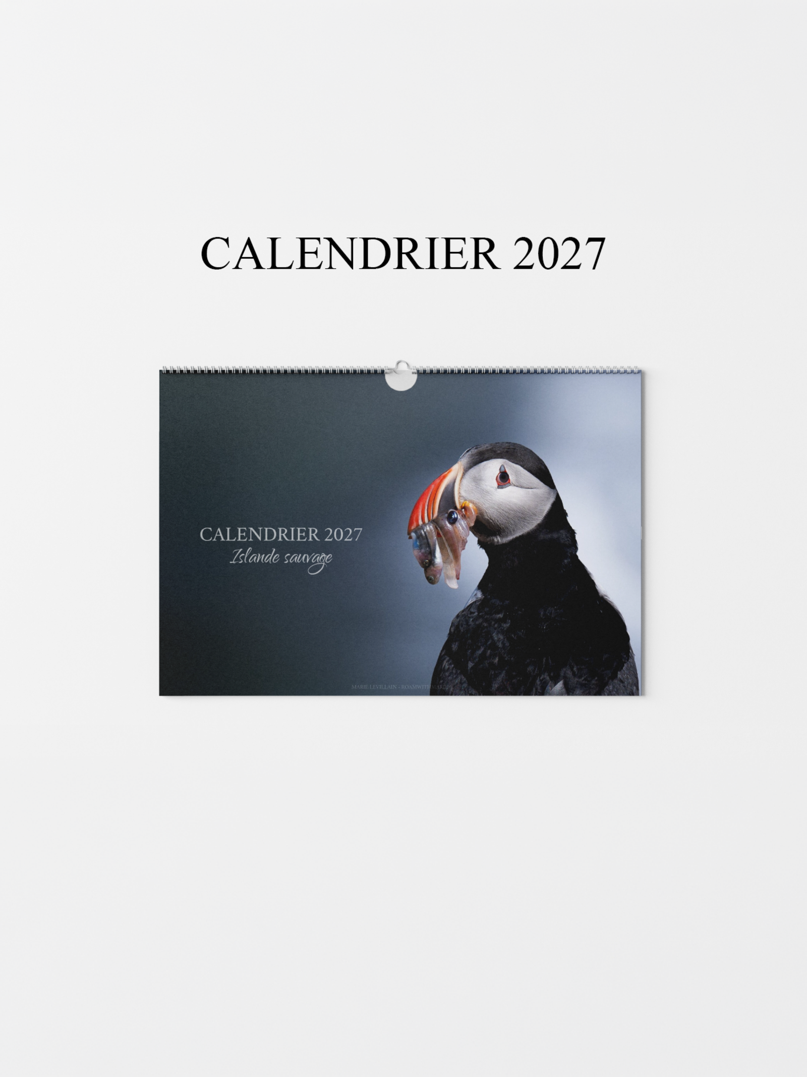 Calendrier 2027 en vente, avec des photographies de la nature islandaise