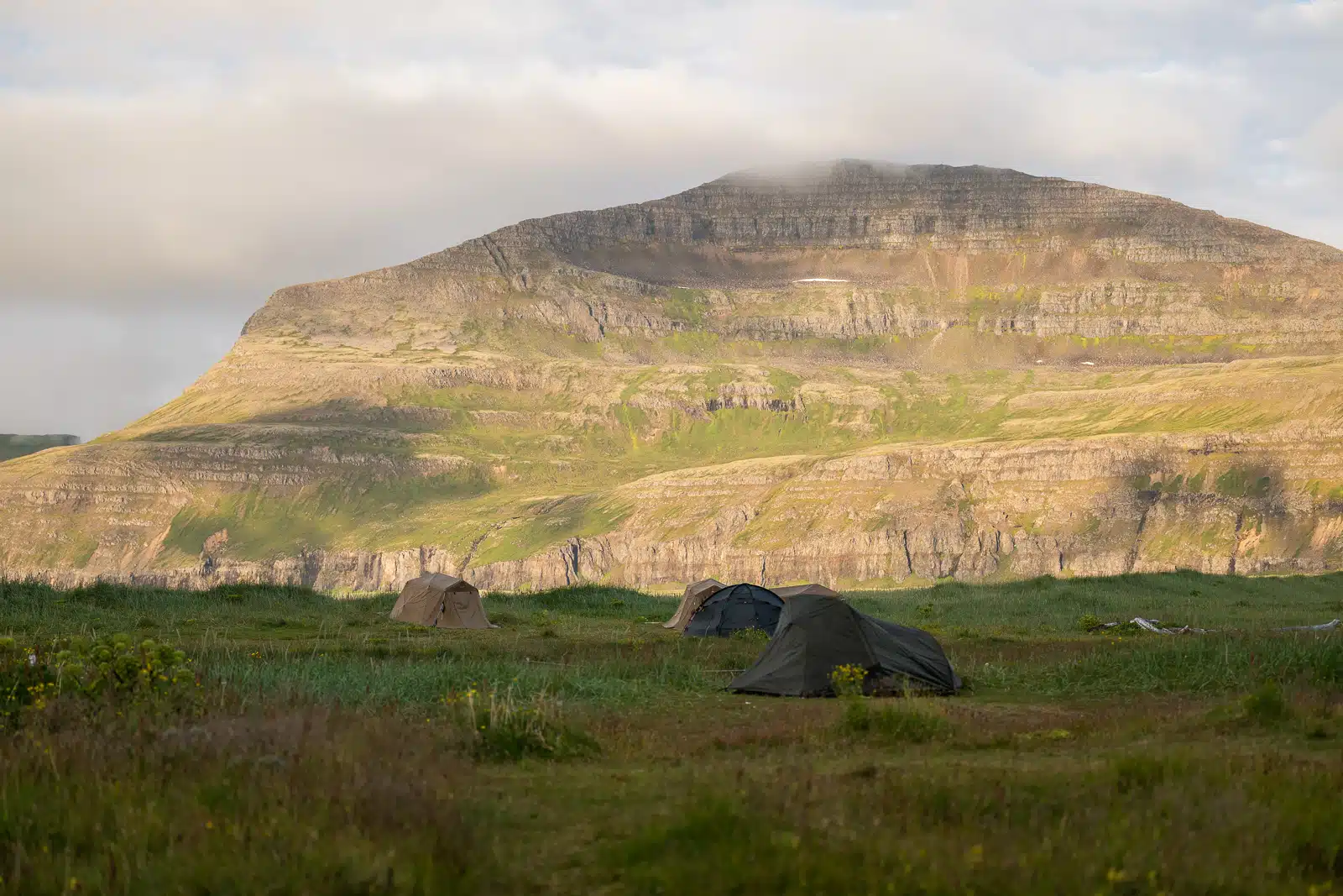 View of the campground at the Hornstrandir Nature Reserve in Iceland