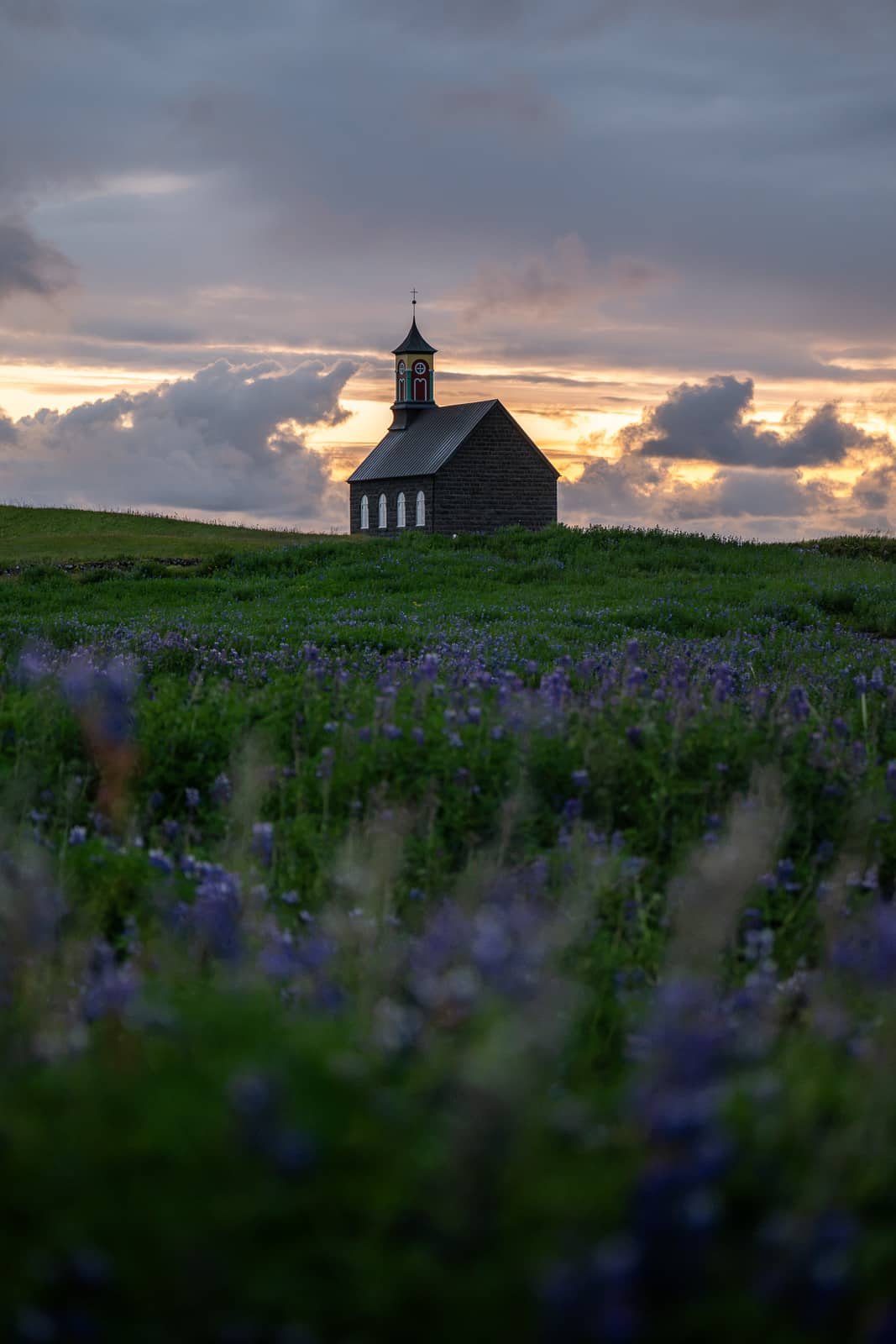 Eglise dans la péninsule de Reykjanes avec un champ de lupins au premier plan