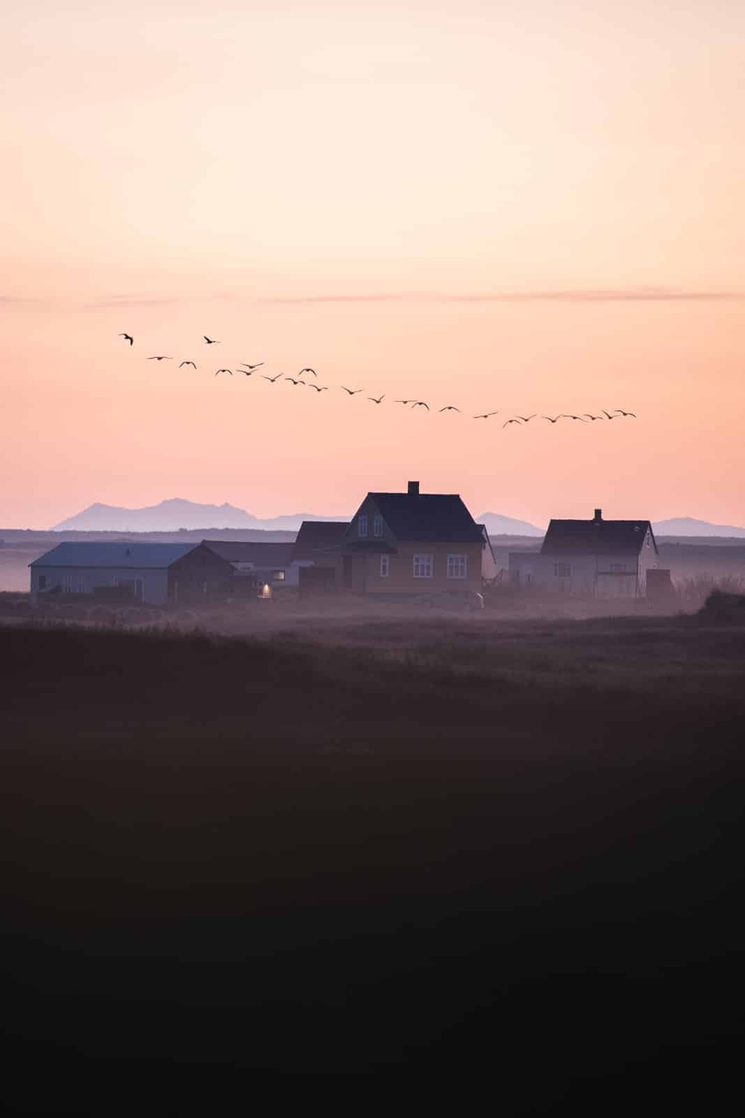 Brume matinale et maisons en automne en Islande