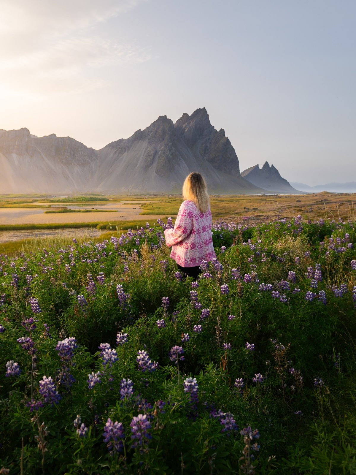 Femme dans un champ de lupins violets devant la montagne de Vestrahorn à Stokksnes en Islande, fin juillet