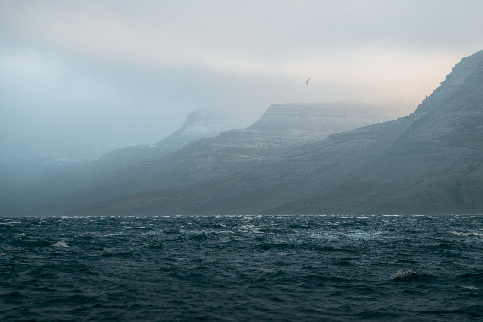 Fjords d'Ísafjörður avant la traversée vers Hornstrandir